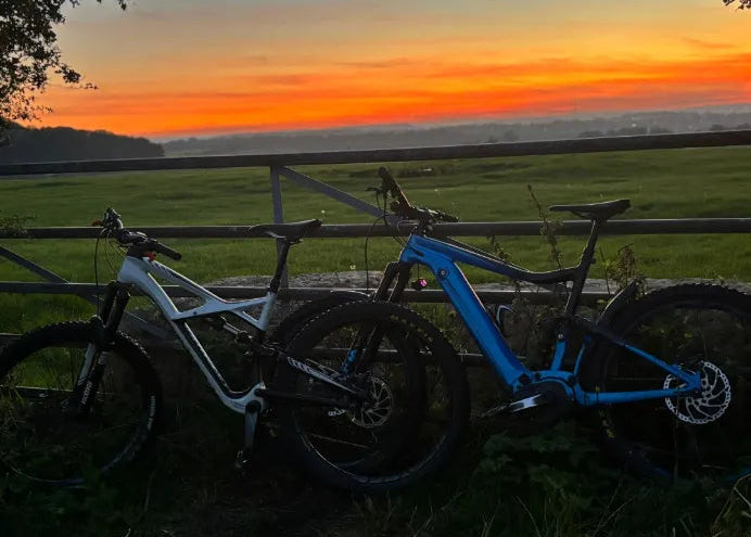 Giant Trance E+ 2 Pro 2019