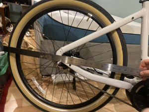 Momentum Transend E+ 2024