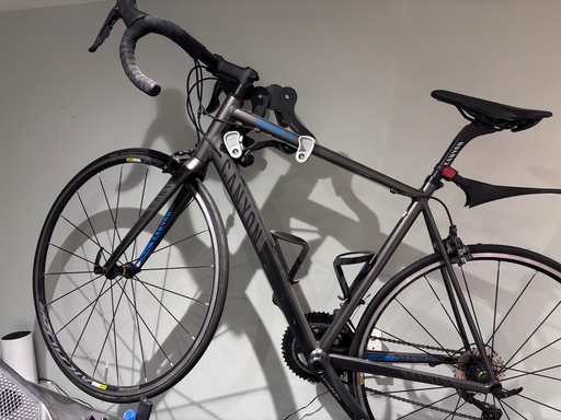 Canyon Endurace AL