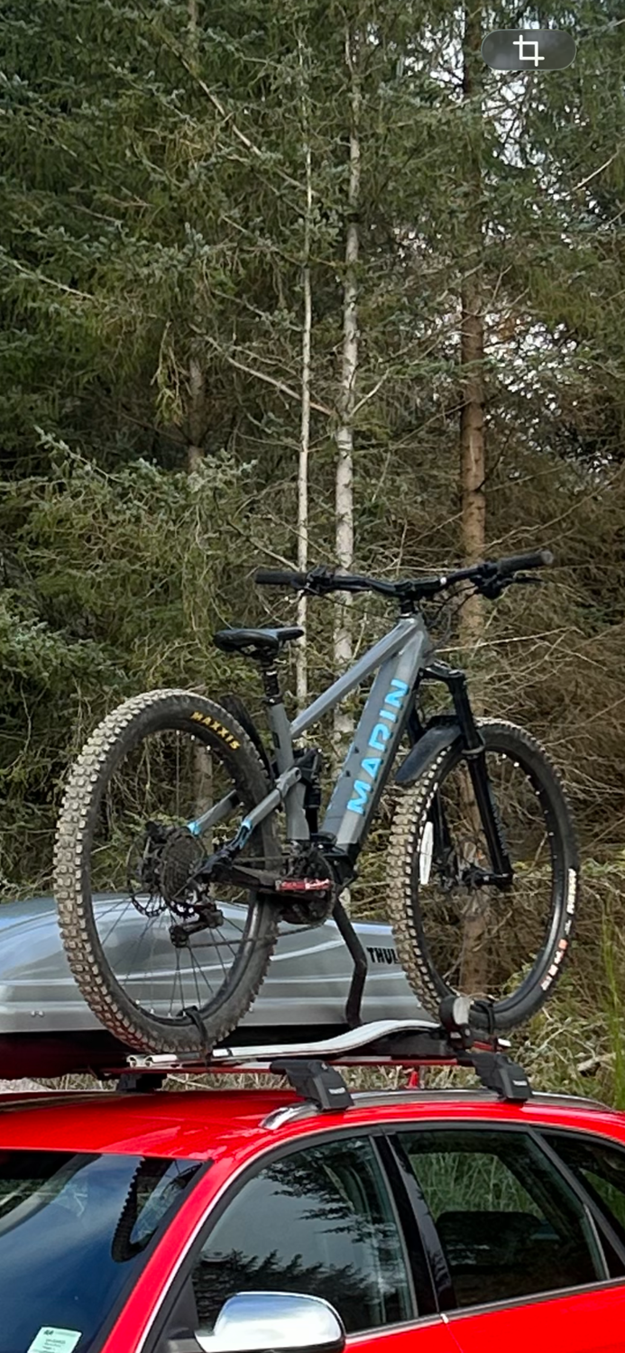 Marin Rift Zone E 2024