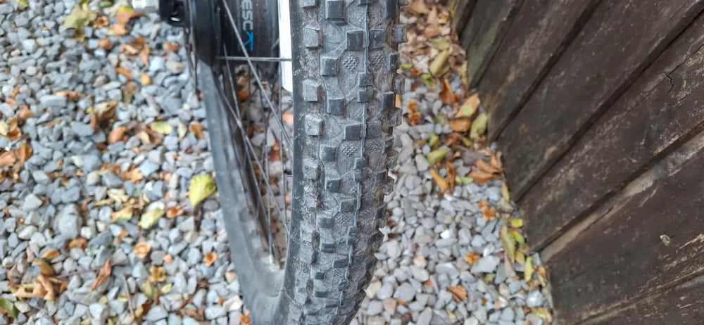 Carrera Vengeance e spec 2023