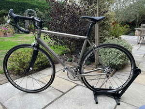 ENIGMA ECHO 2013