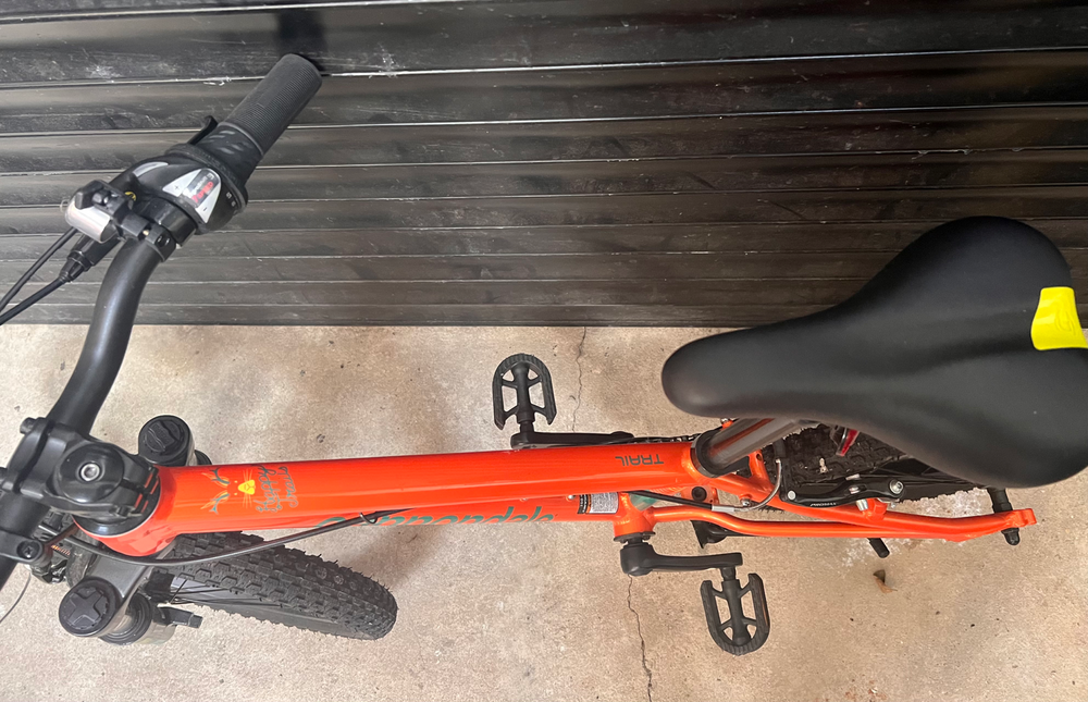 Cannondale Boys Trail 20 2020