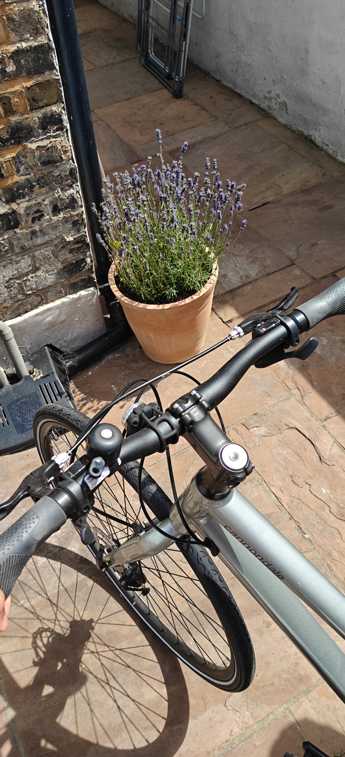 Cannondale Quick 5 Disc 2020