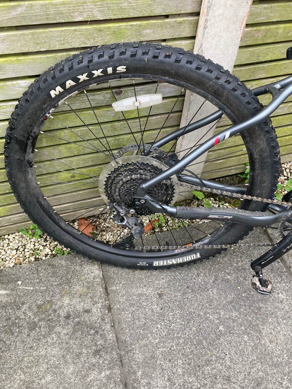 Whyte 901 2019