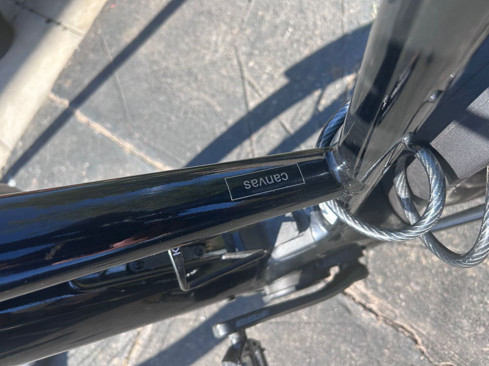Cannondale Canvas Neo 2 2024