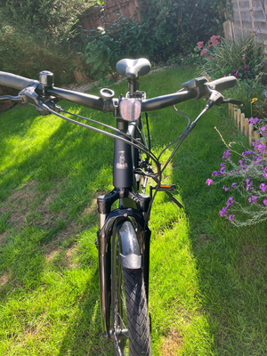 Raleigh Motus Crossbar Bosch 2022
