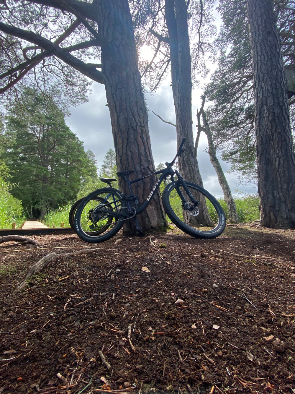 Giant Anthem Advanced Pro 29 1 XC 2021