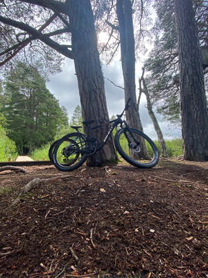 Giant Anthem Advanced Pro 29 1 XC 2021