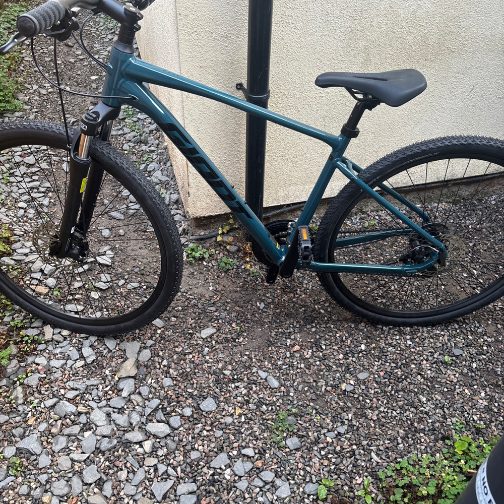 Giant Roam 0 Disc 2020