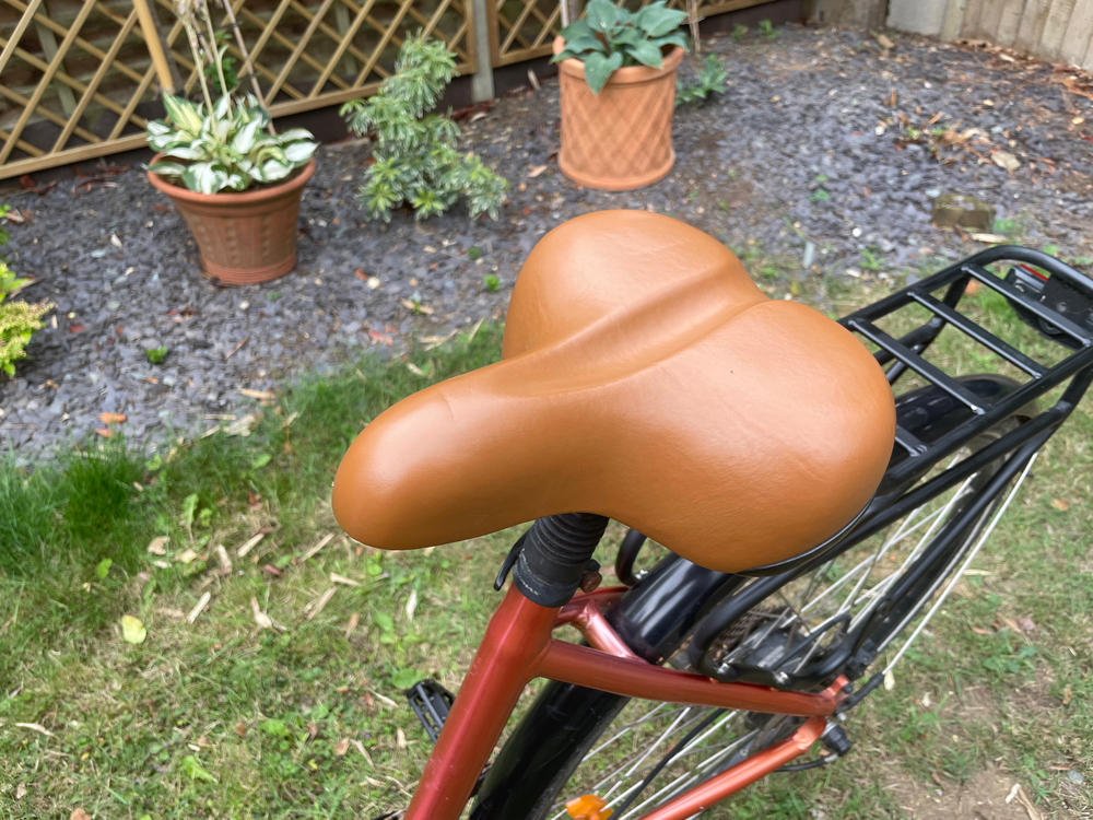 Juicy Roller E-BIKE TQ 73 2019