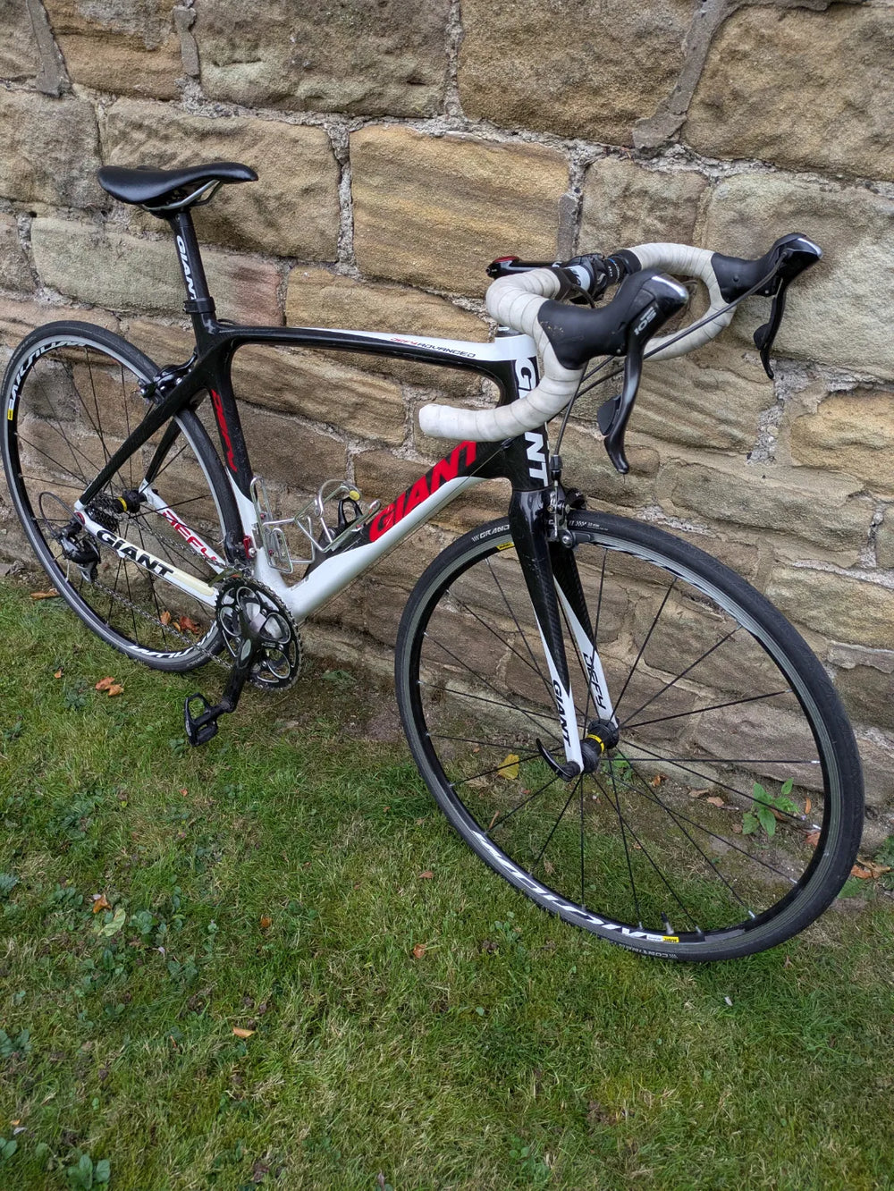 Giant Defy Advanced 2 2010