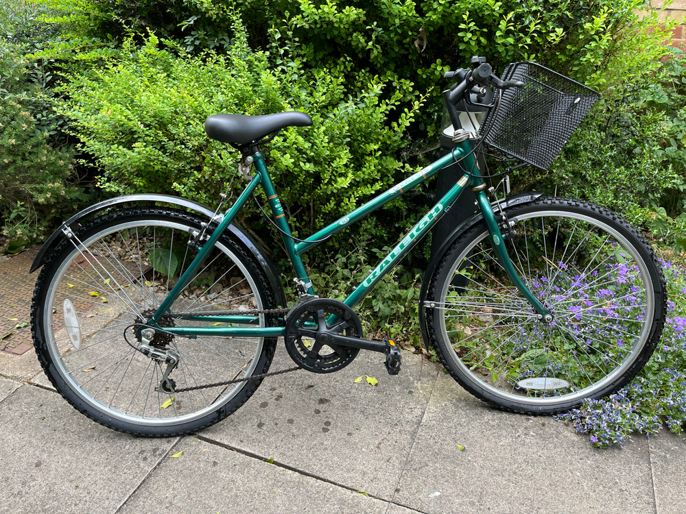 Raleigh Genesis 1990