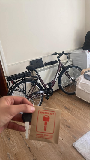 Halfords Assist Step-Thru