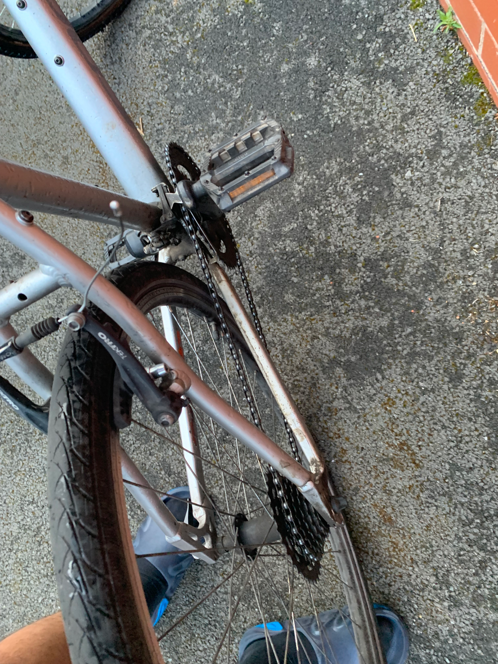 Carrera Parva 2020
