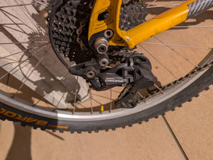 Litespeed Niota AL