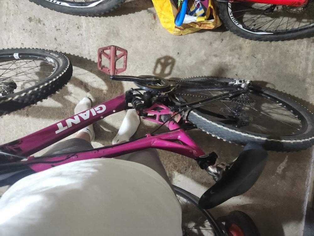 Giant Trance Jr 26 2007