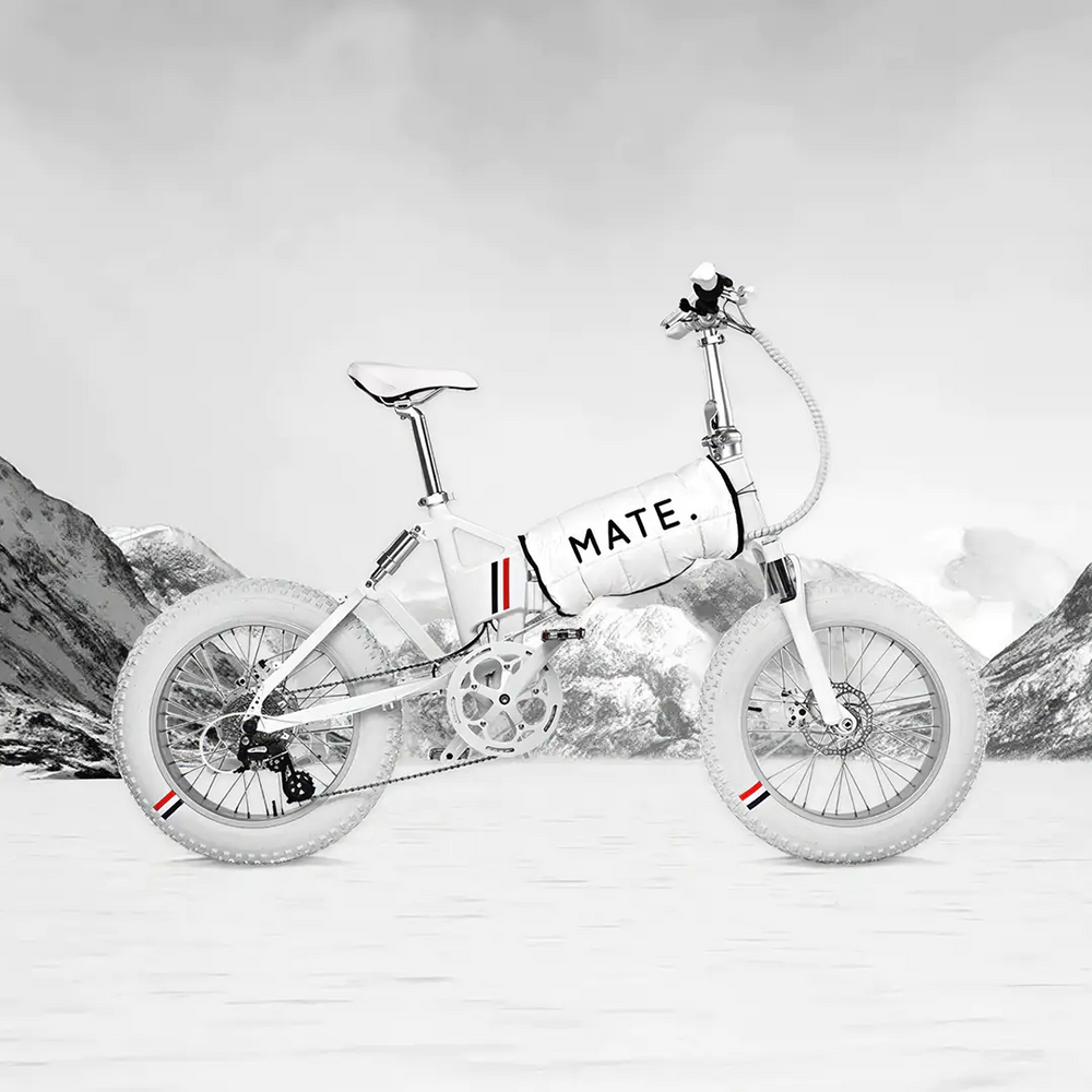 Mate Monclair  MATE X Moncler 250W (White) Limited Edition 2020