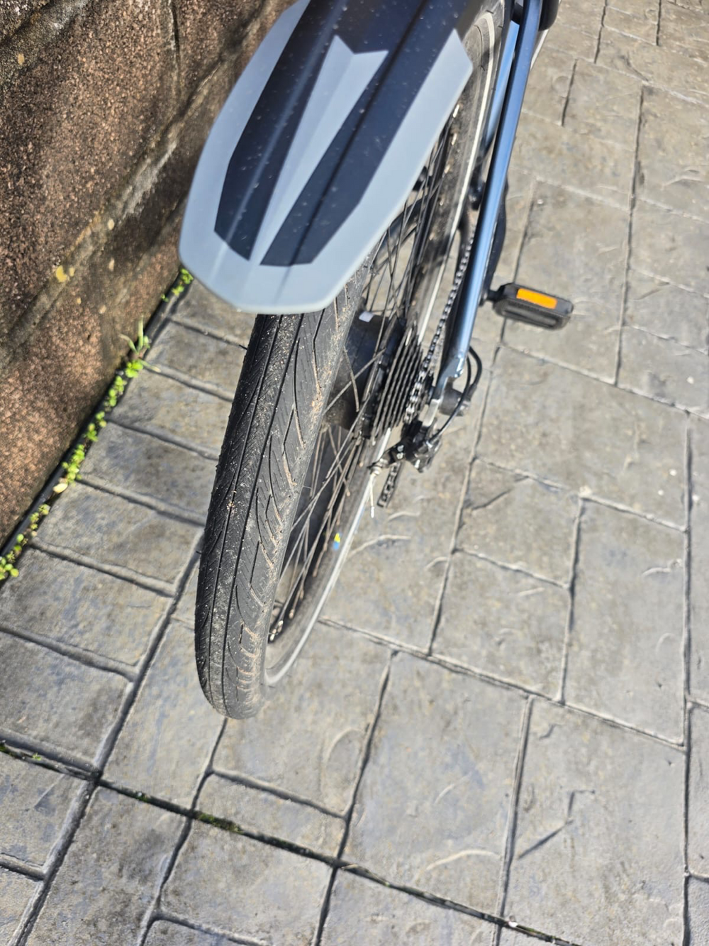 Carrera impel im 2022