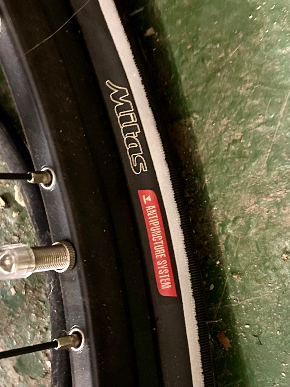 Raleigh MOTUS TOUR 2020