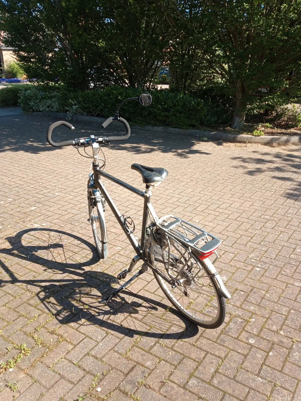 Gazelle Lausanne 2010