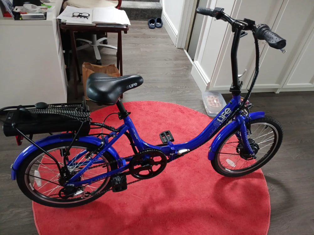 E Go E-Life Regency 2022
