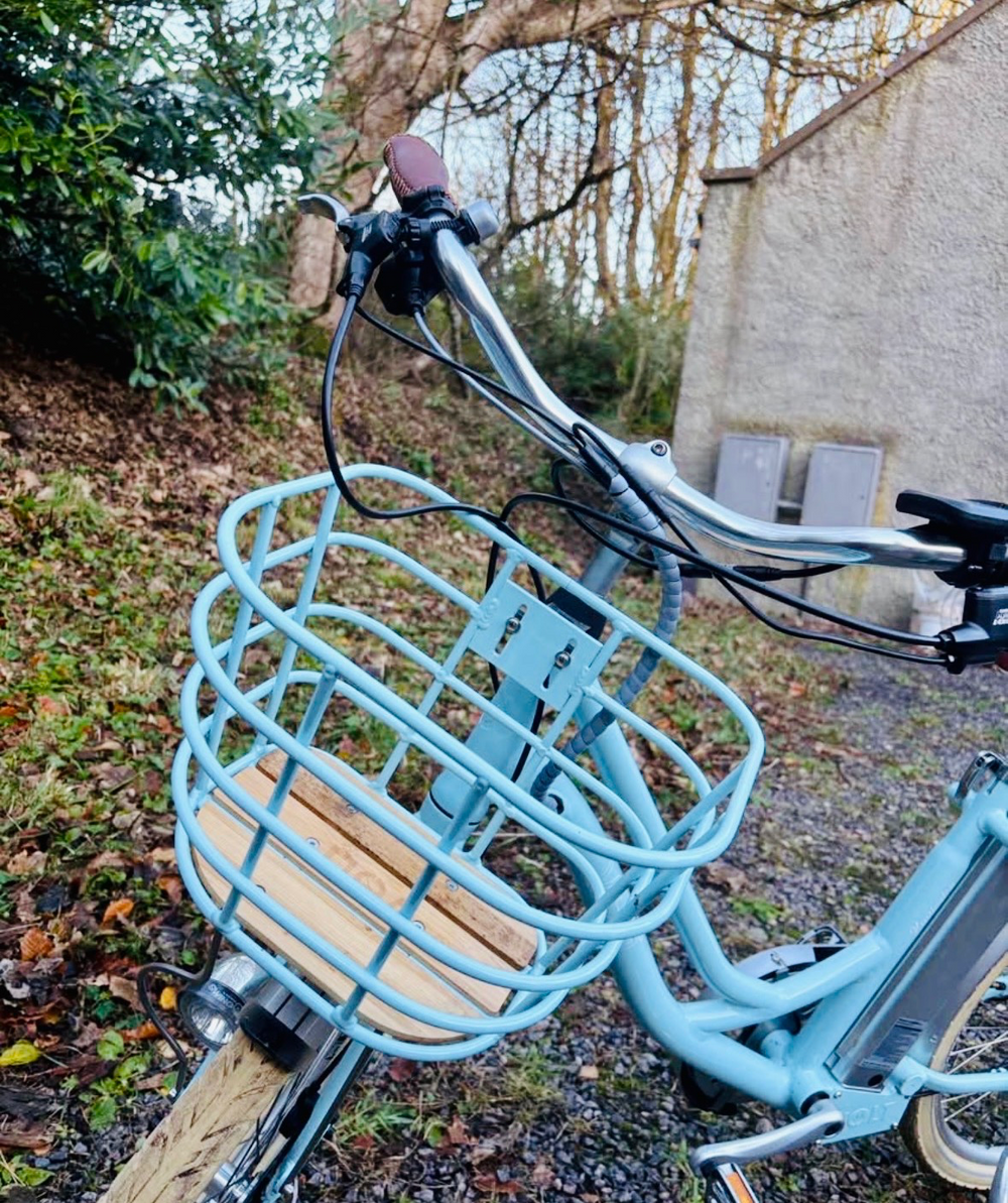 Volt Kensington 2020