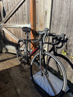 Trek Domane AL 2 2020