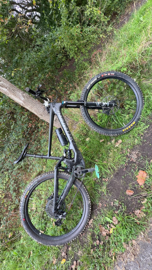 Specialized Kenevo SL Comp Carbon 29 2025