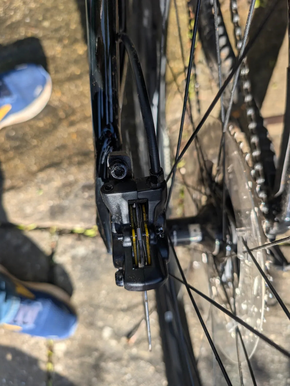 Giant Reign Advanced Pro 29 2 2021