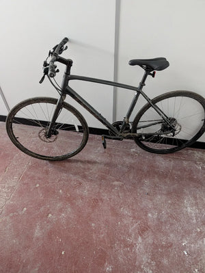 Trek Fx2