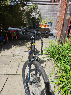 Ampere X trail EMTB 250w 2024