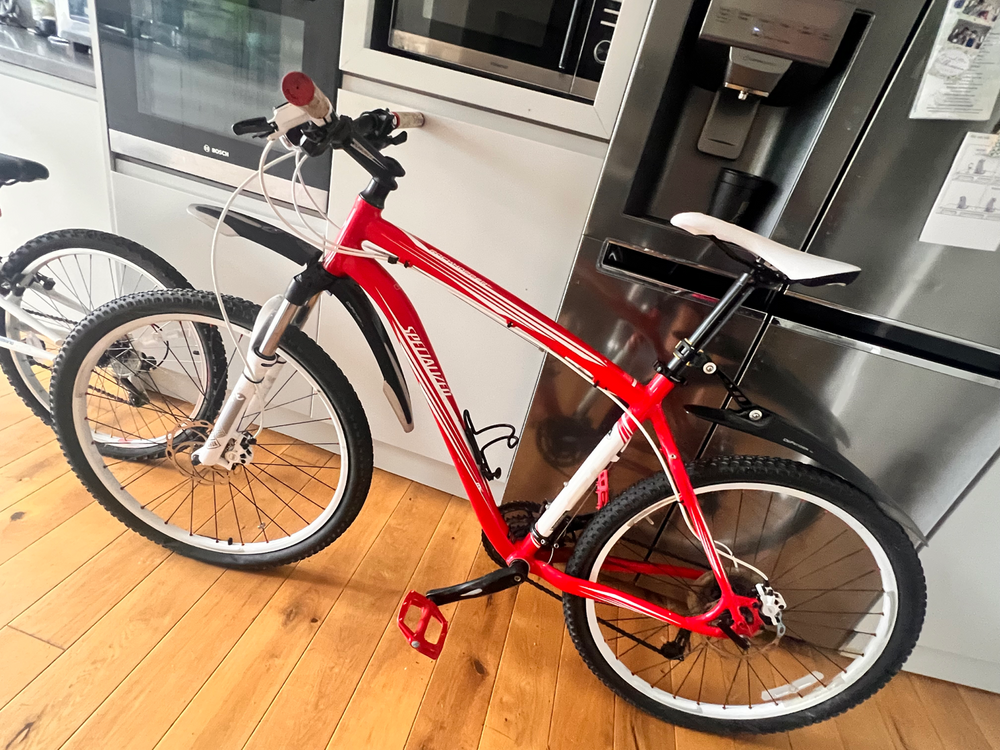 Specialized Rockhopper SL 2010
