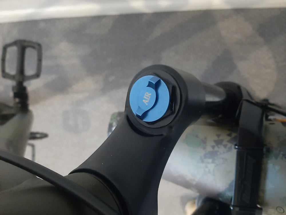 Serious cycles Global  Shoreline  2021