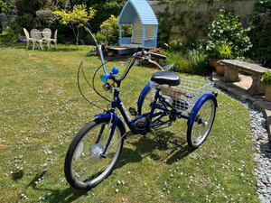 Probike Tricycle 2023