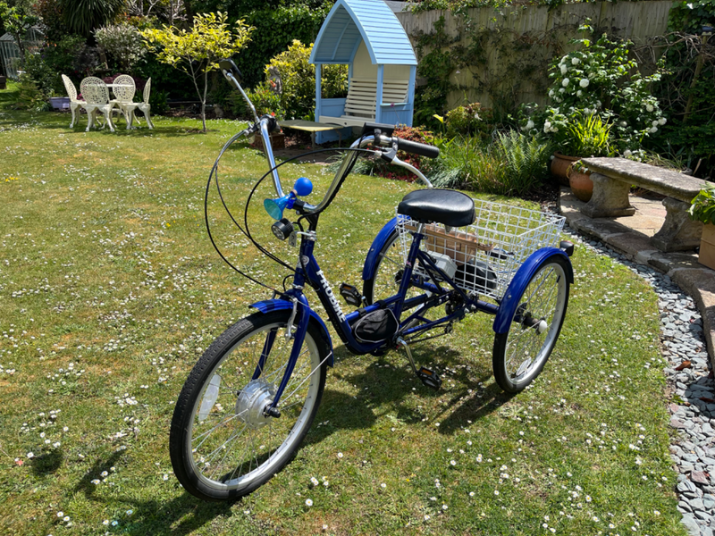 Probike Tricycle 2023