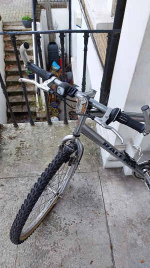 Raleigh MAX USA DESIGN