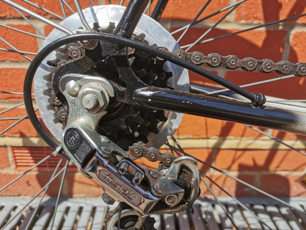 Raleigh Winner 1982