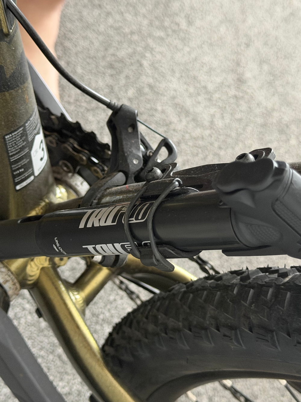 Bergamont Revox 6 2022