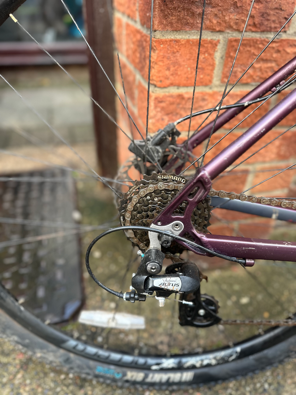 Carrera Hellcat Womens Mountain Bike 2020