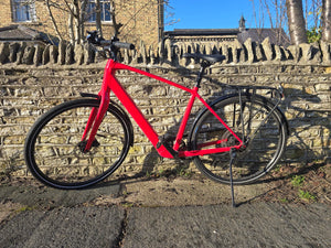 Trek FX+ 2 LT 2024