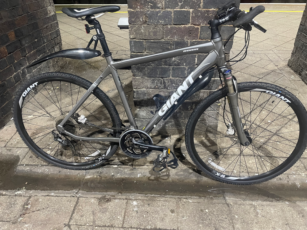 Giant Roam 2 (2015) 2014