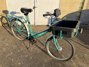 Pashley Elephant