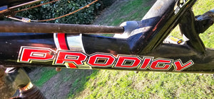 Prodigy Excel