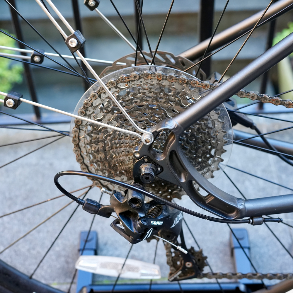 Pinnacle Neon 5 2020