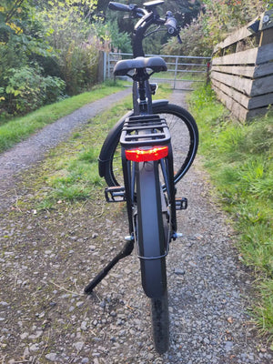 Gazelle Chamonix C5 HMS Low-Step 2022