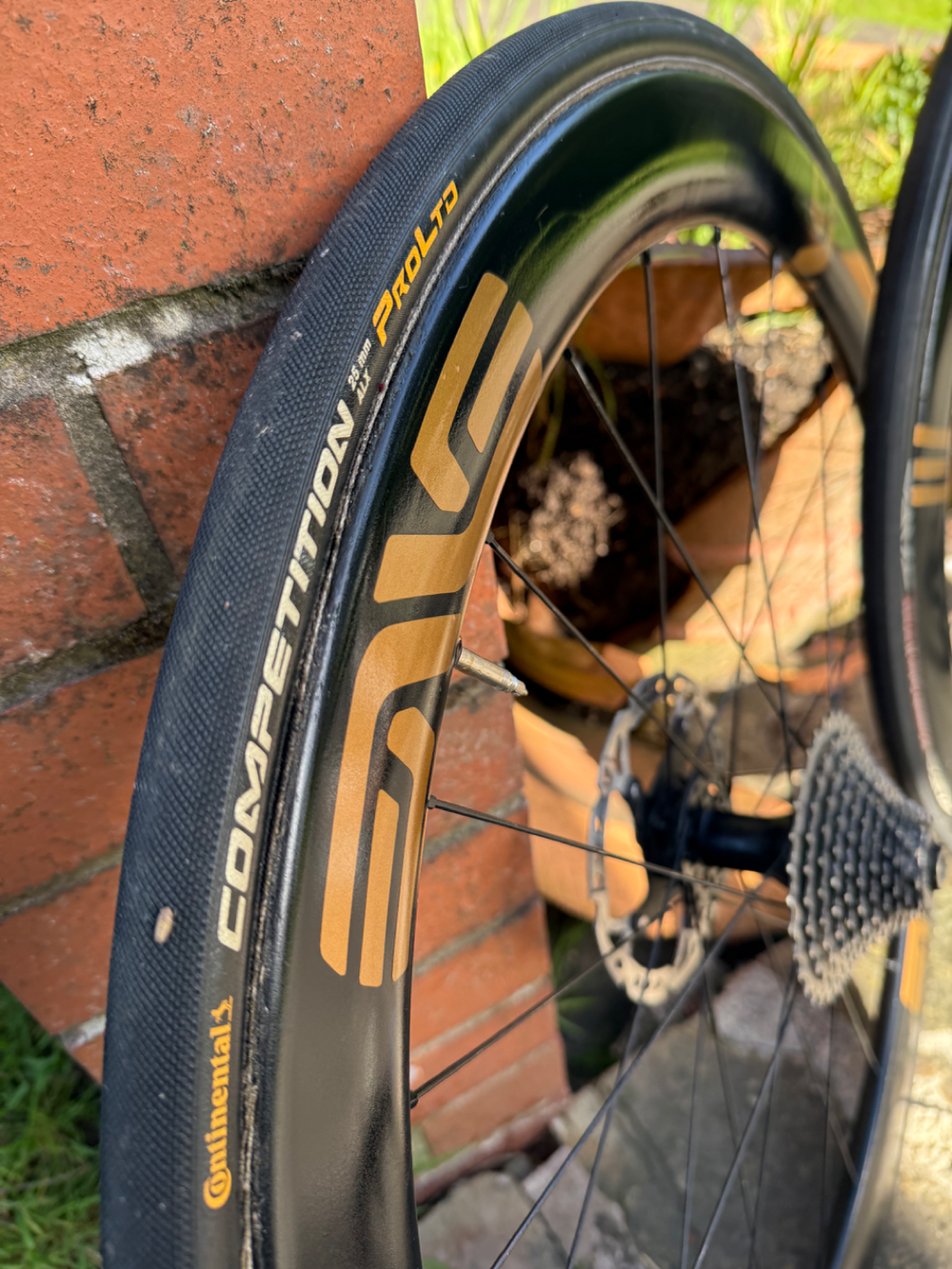 Storck Tix 2020