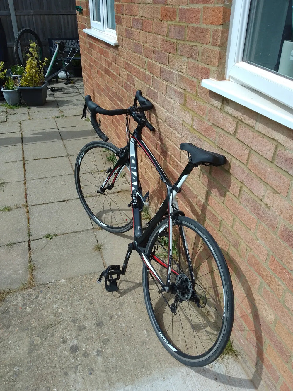 Giant TCR advanced 2 2015