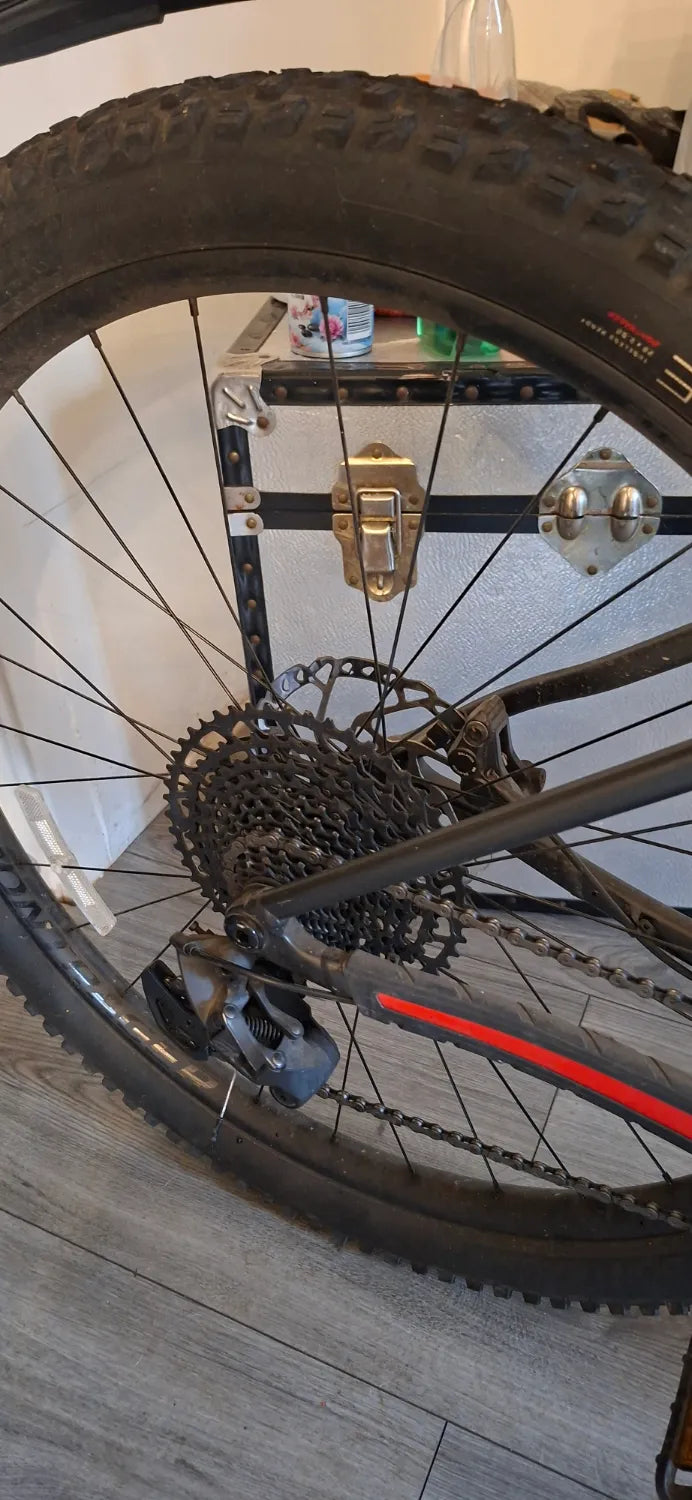 Trek Roscoe 8 2023
