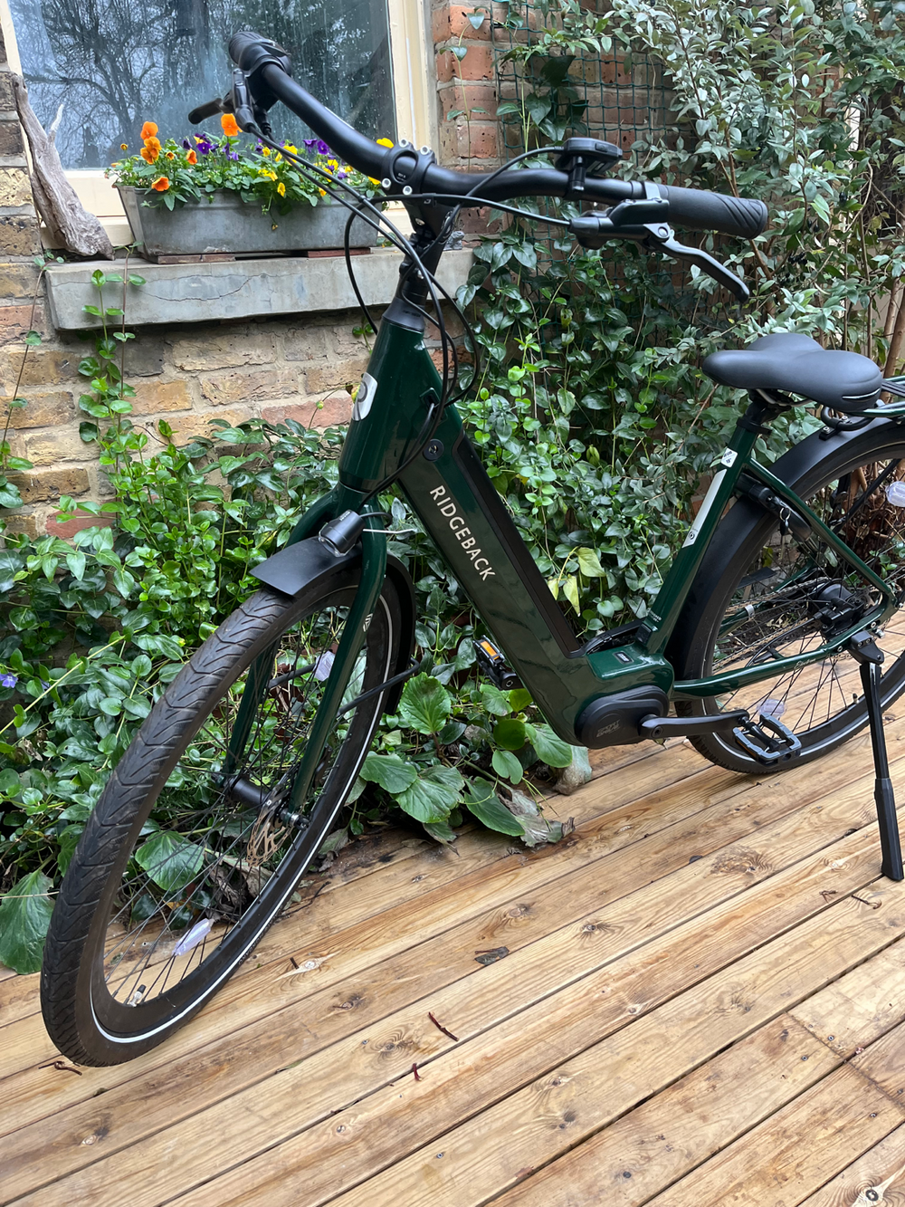 Ridgeback Electron INT 2024